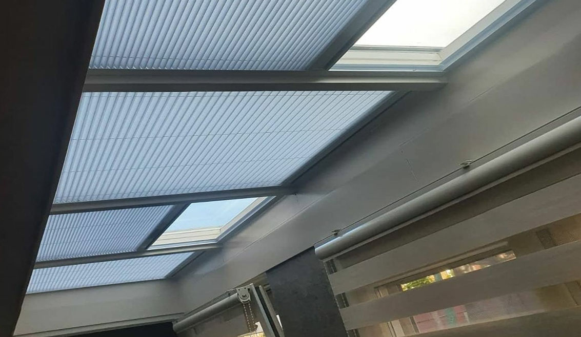 Insekten für Fenster
